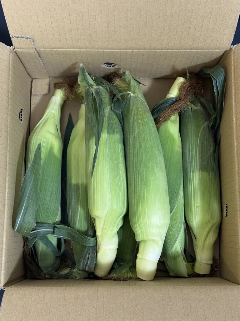 大師北越の優待品開封