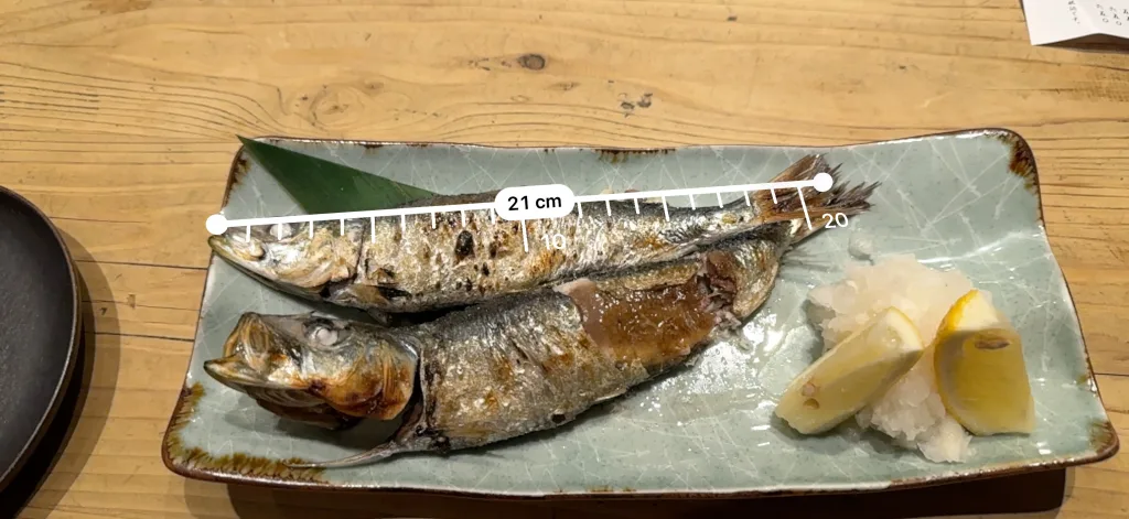大羽いわし21cm