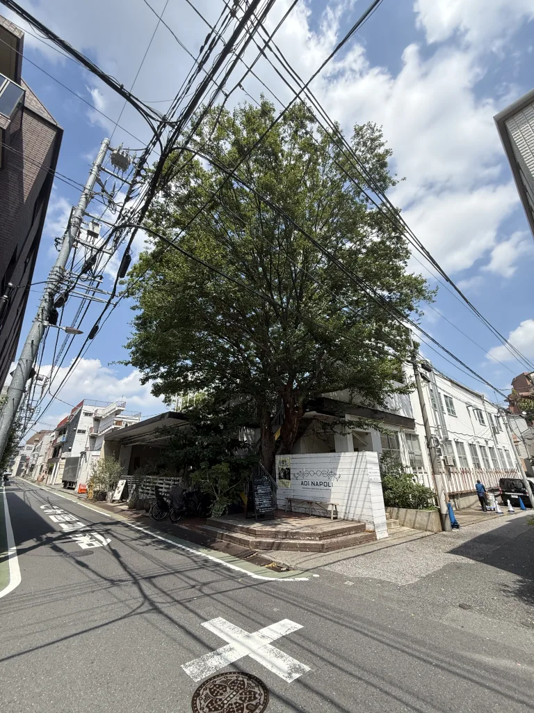 青いナポリの外観