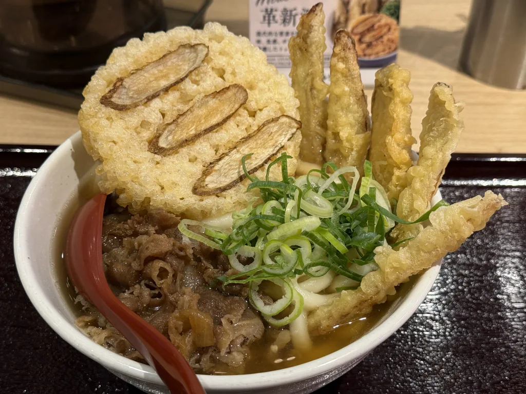 肉ごぼう天うどん