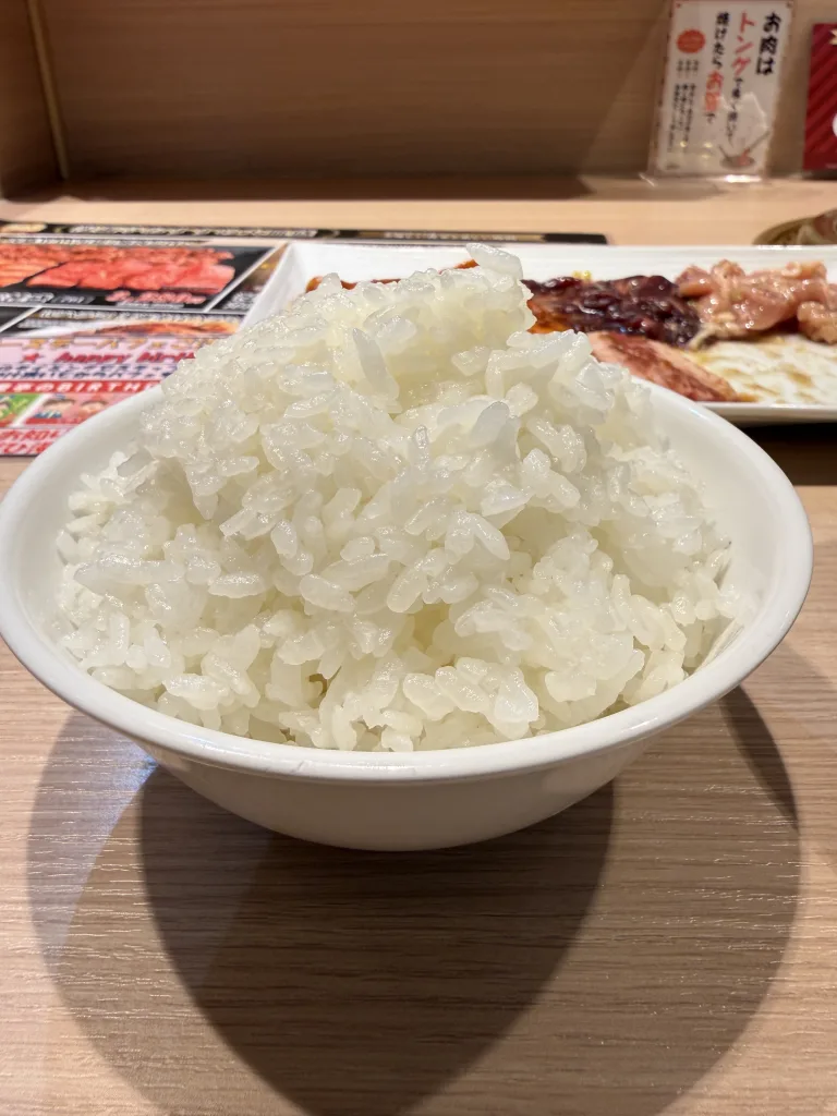 漫遊亭の大盛ライス