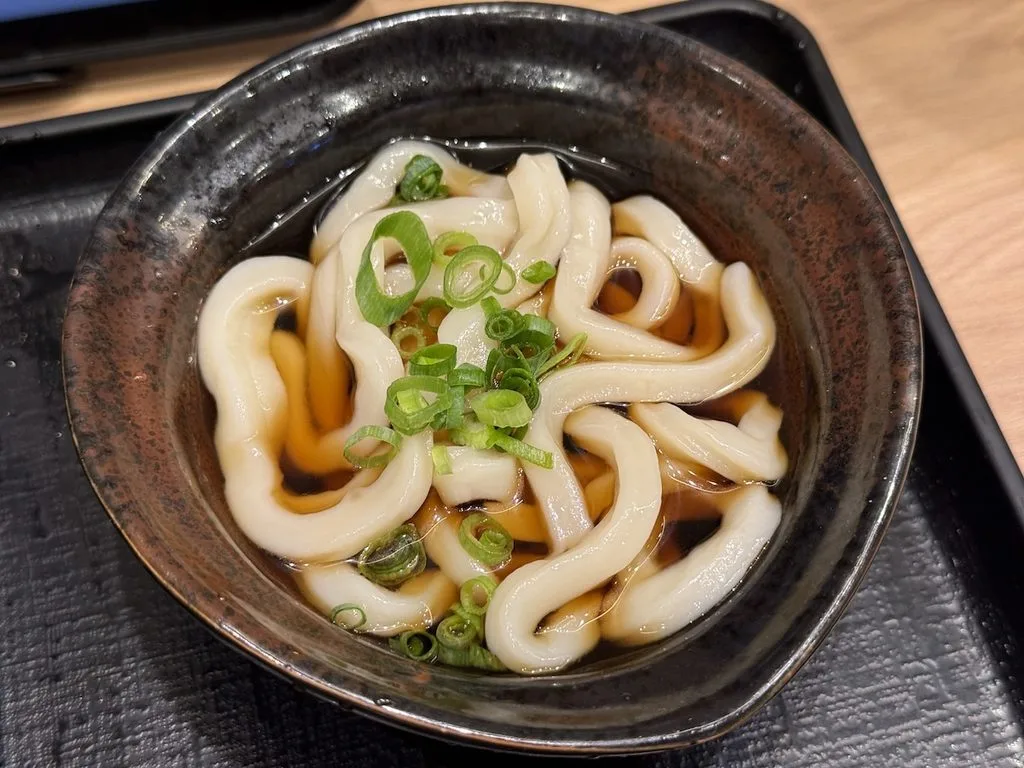 山下本気うどんのミニうどん