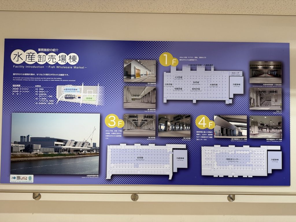 豊洲市場