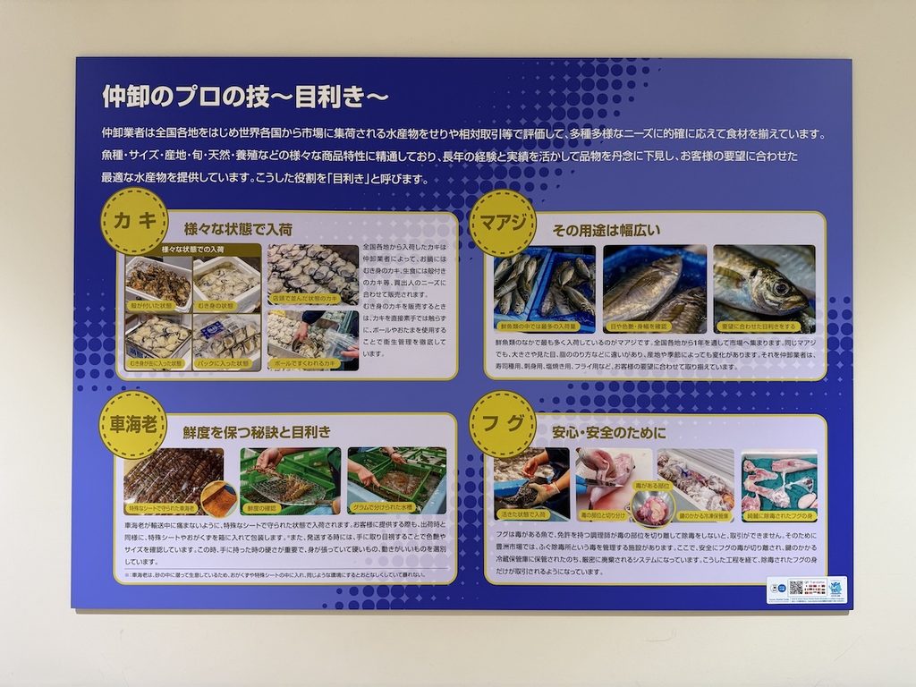 豊洲市場6街区