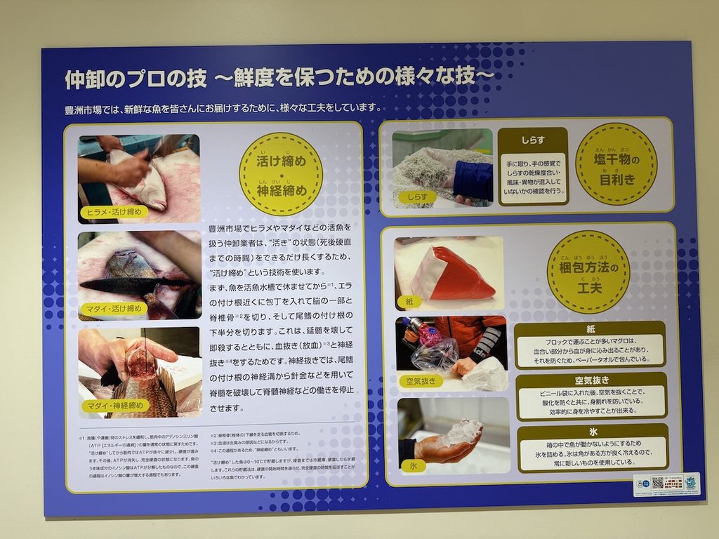 豊洲市場6街区