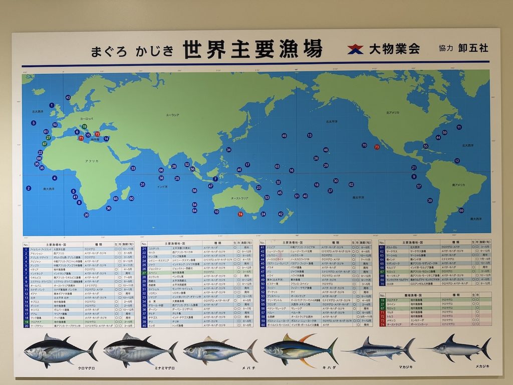 豊洲市場6街区
