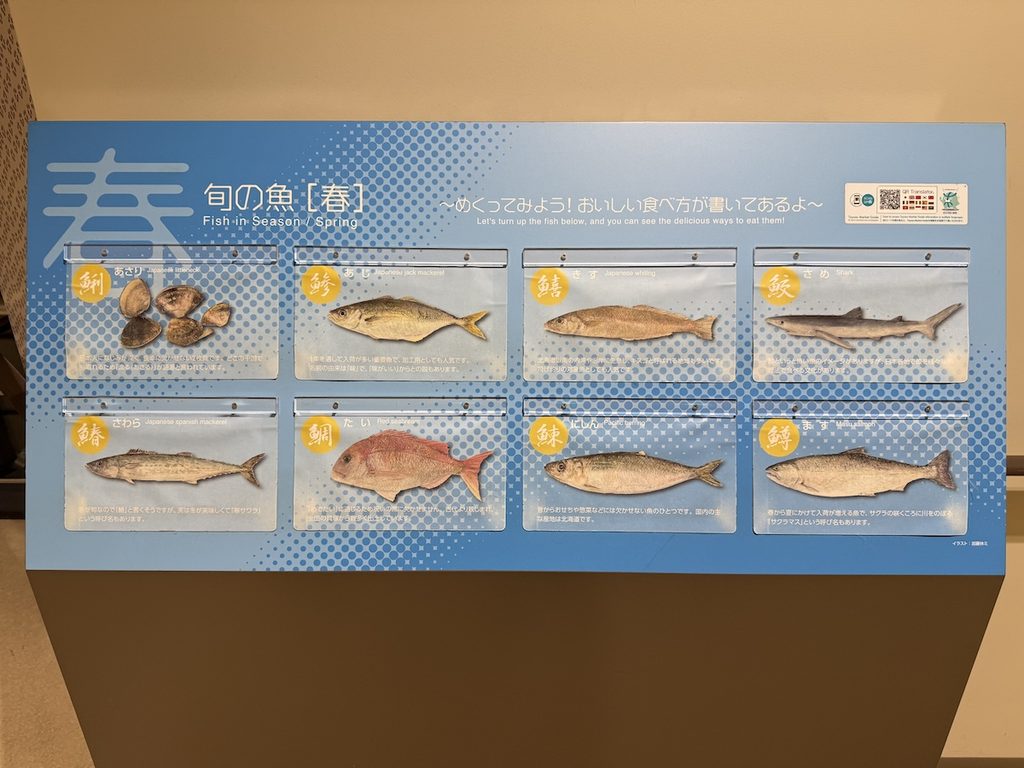 豊洲市場6街区