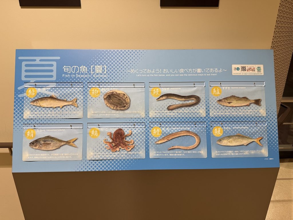 豊洲市場6街区