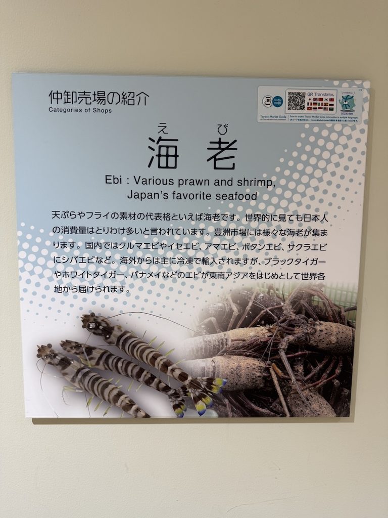 豊洲市場6街区