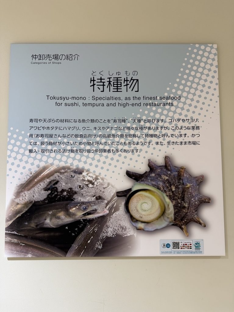豊洲市場6街区