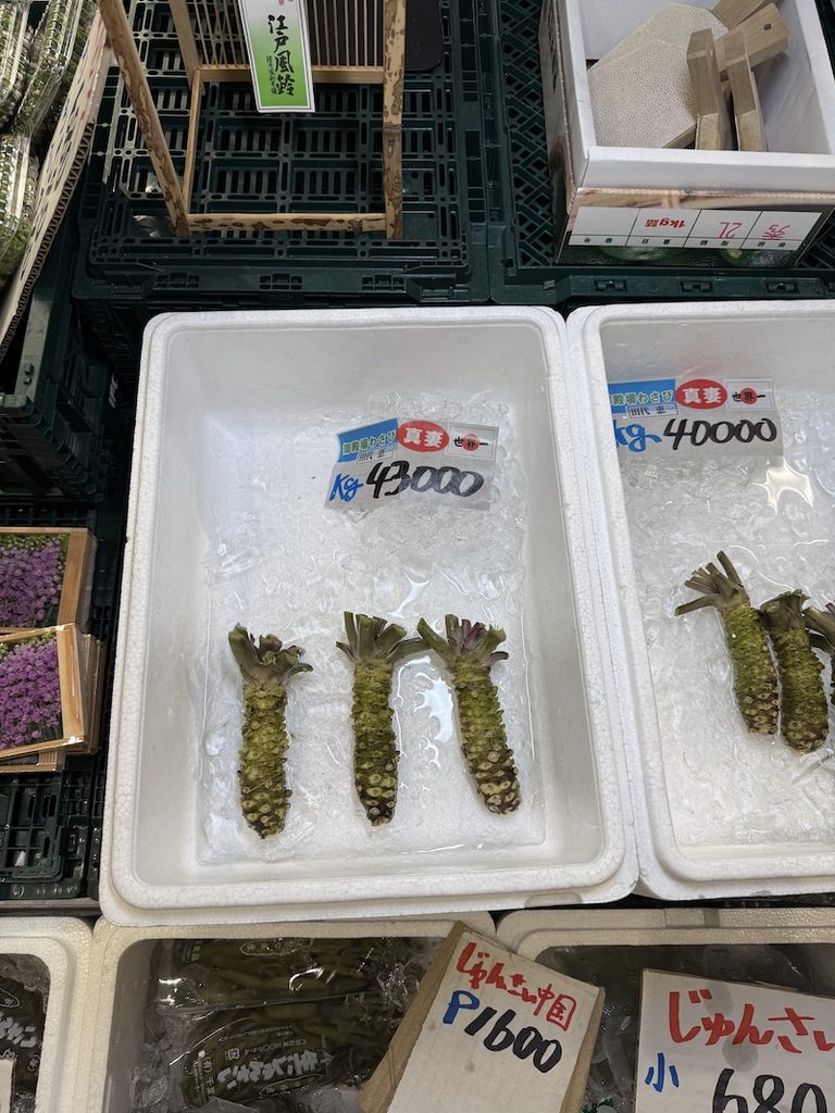 豊洲市場6街区