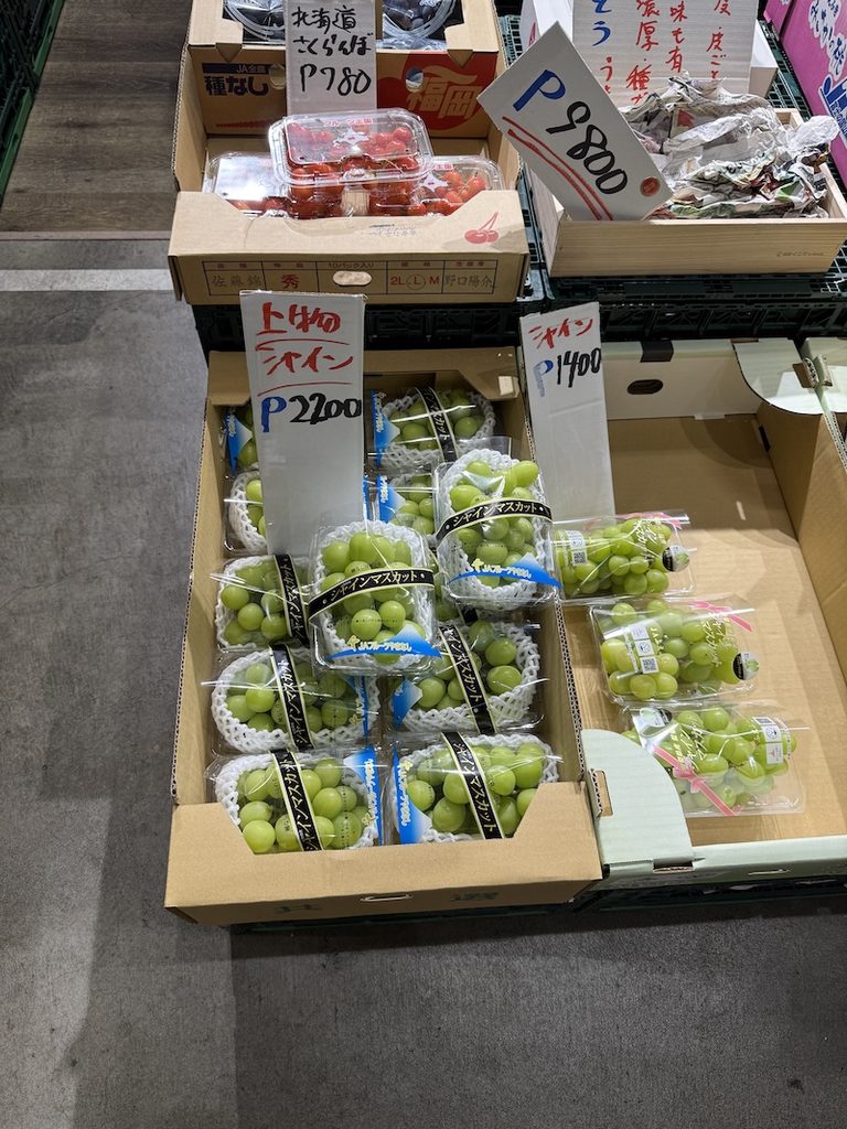 豊洲市場6街区