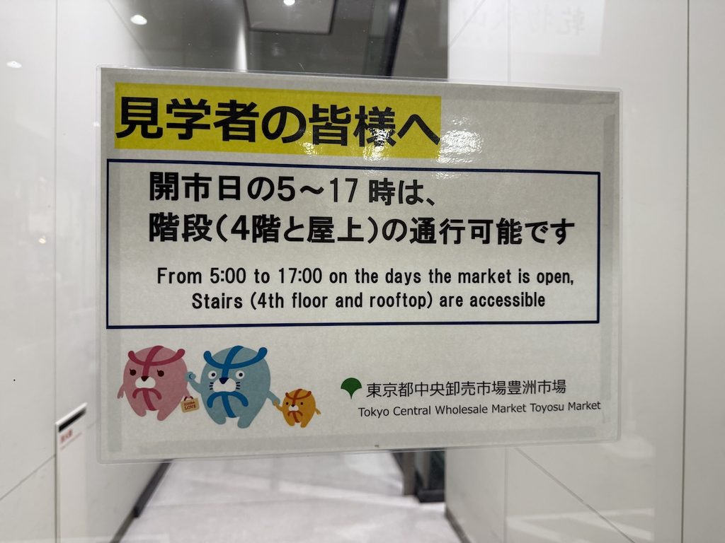 豊洲市場6街区の屋上