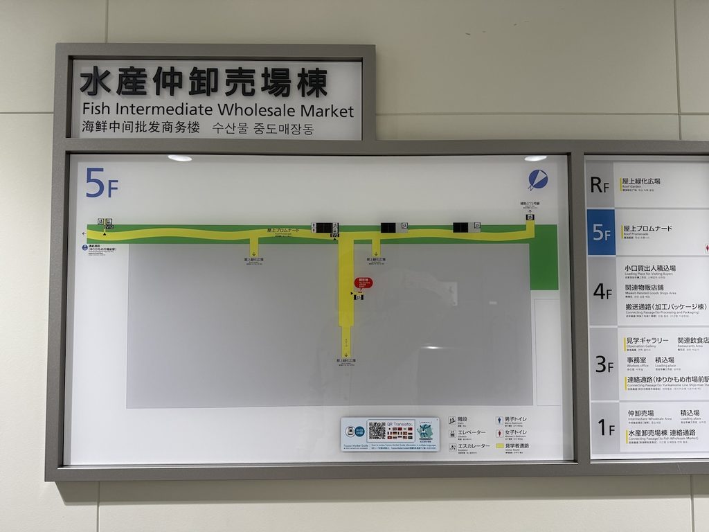 豊洲市場6街区の屋上