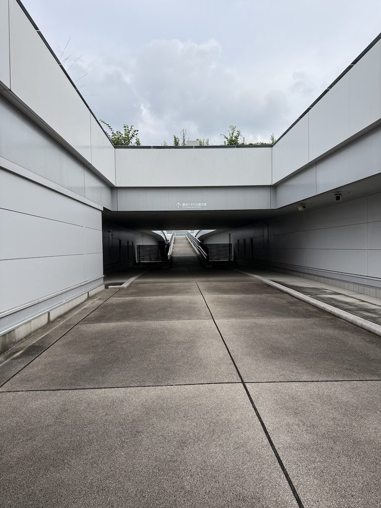 豊洲市場6街区の屋上