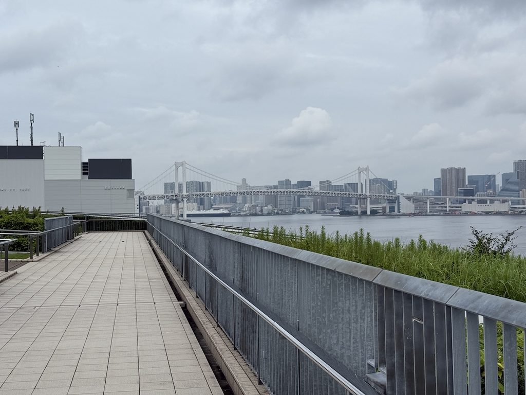 豊洲市場6街区の屋上