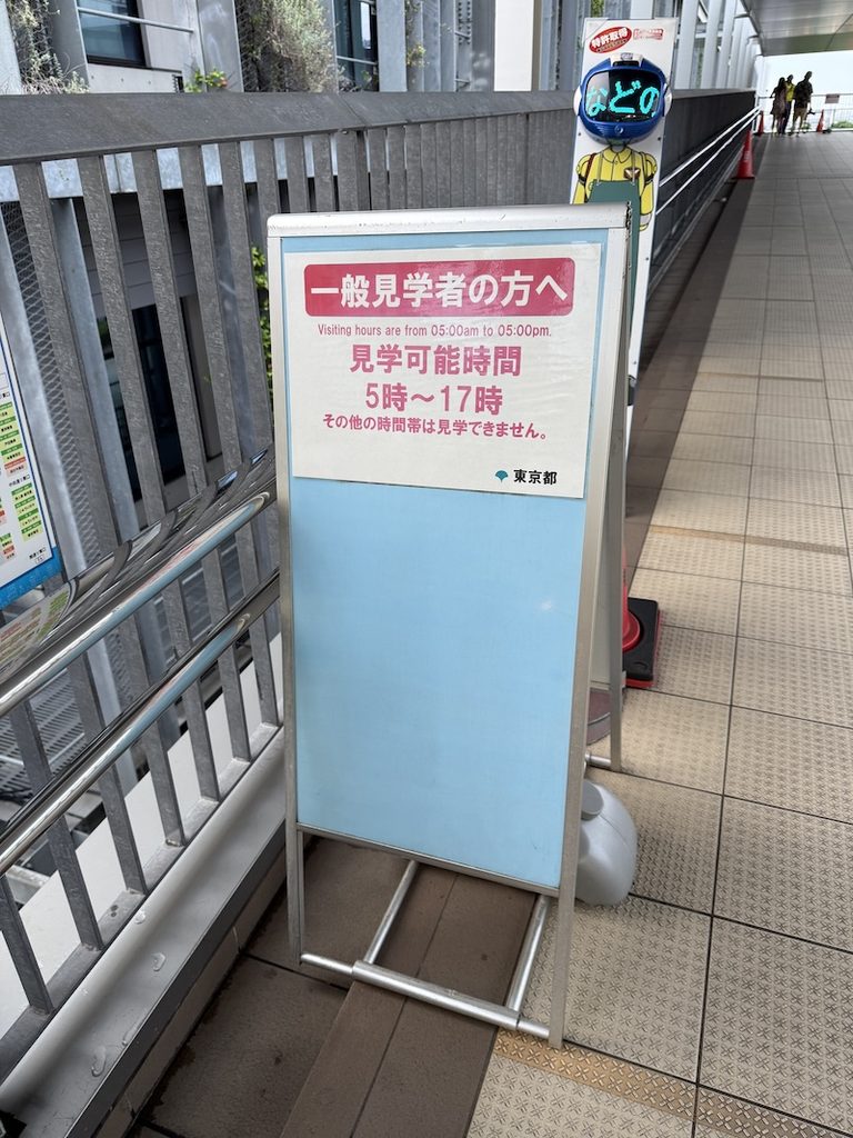 豊洲市場