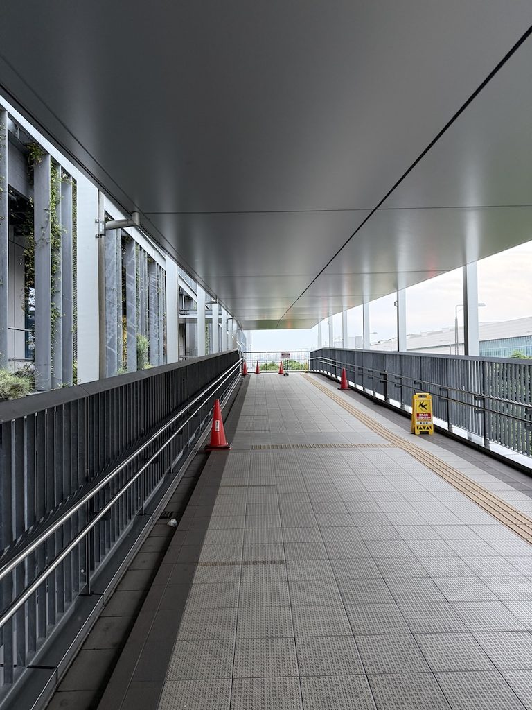 豊洲市場
