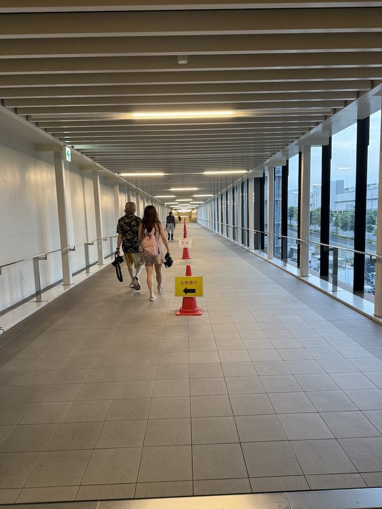 豊洲市場