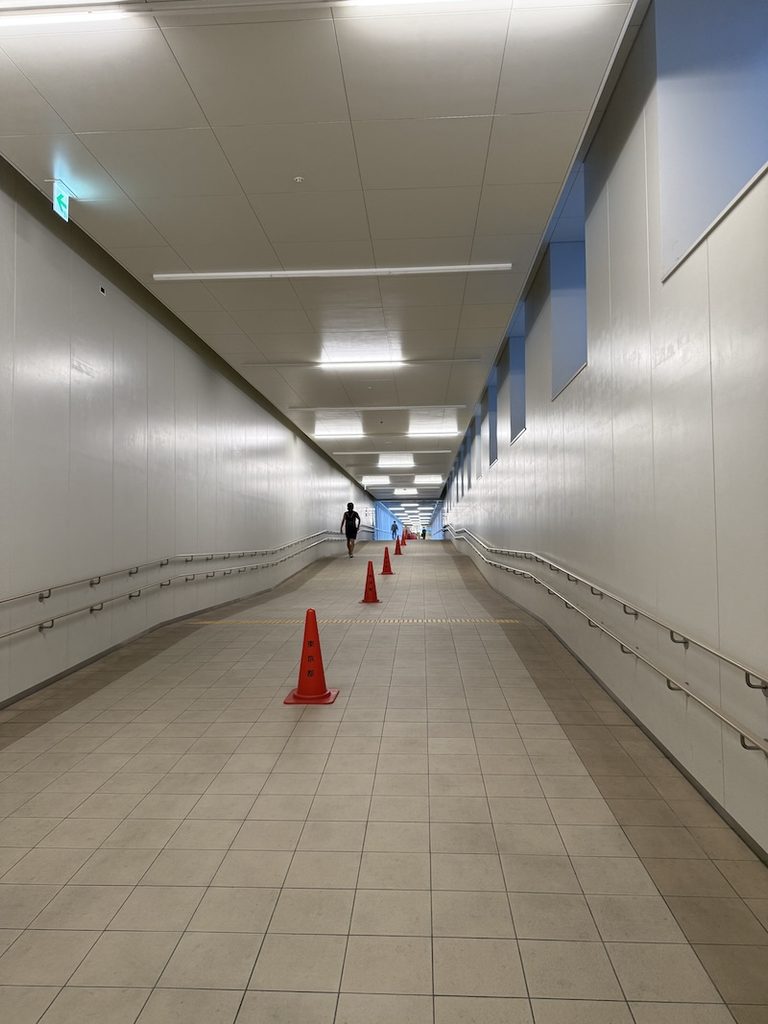 豊洲市場