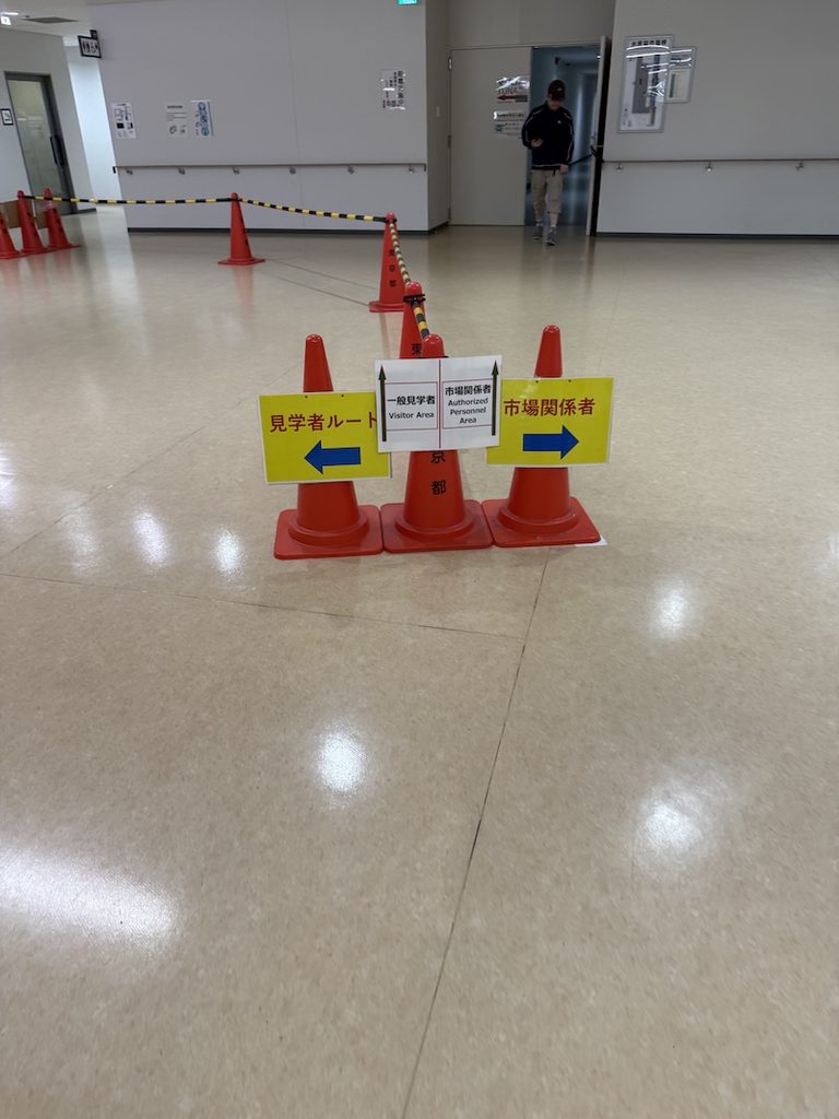 豊洲市場