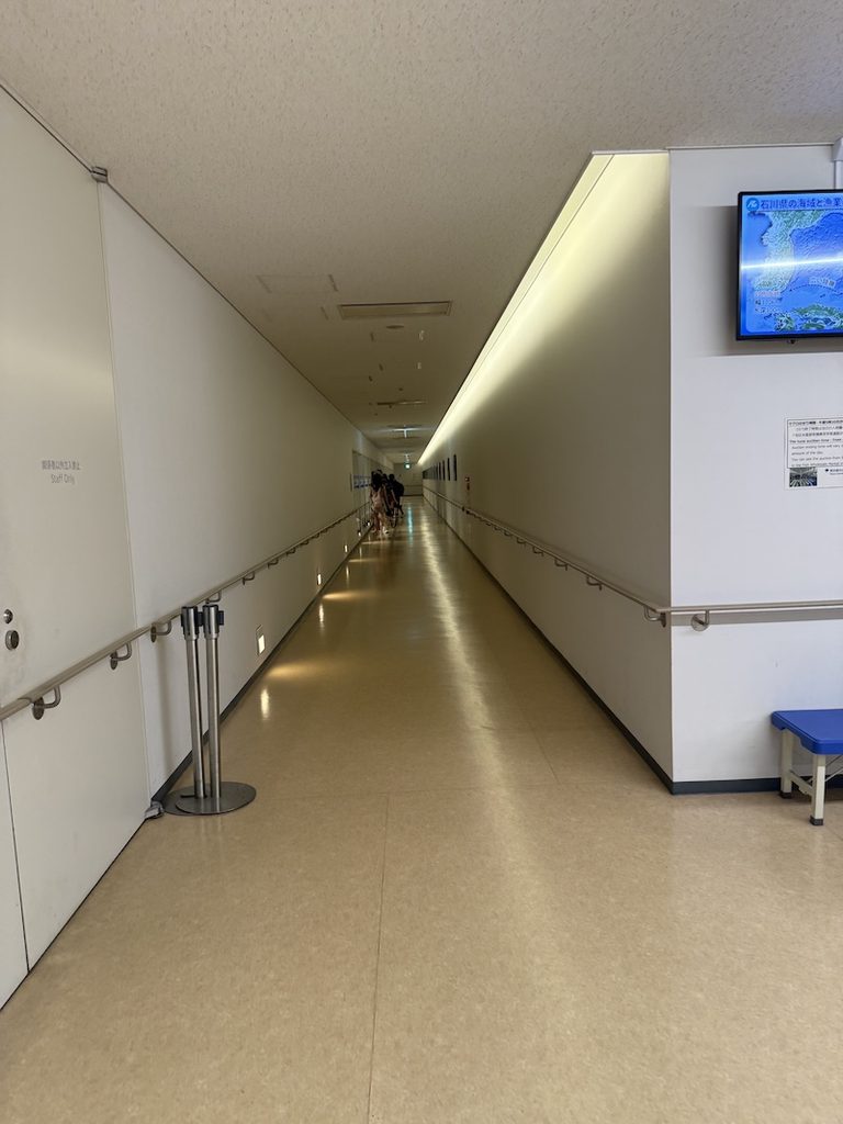 豊洲市場