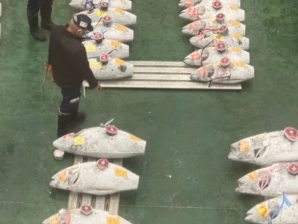 豊洲市場