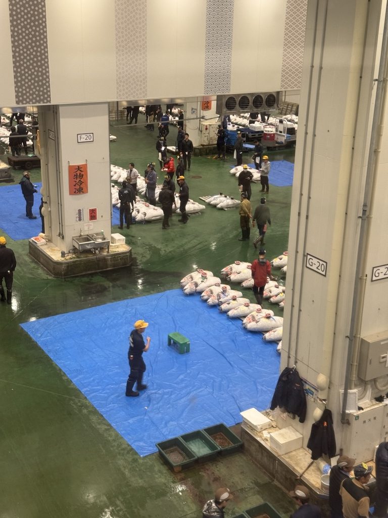 豊洲市場